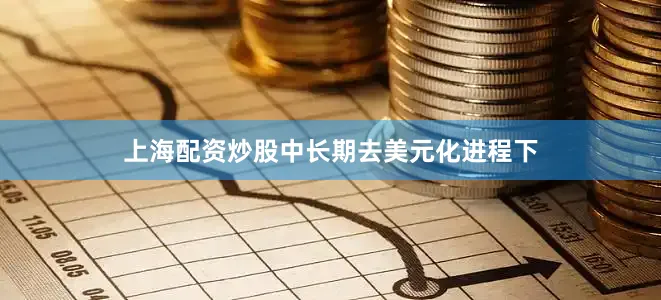 上海配资炒股中长期去美元化进程下