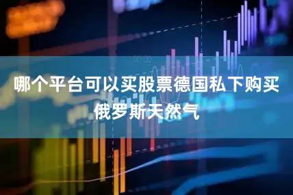 哪个平台可以买股票德国私下购买俄罗斯天然气