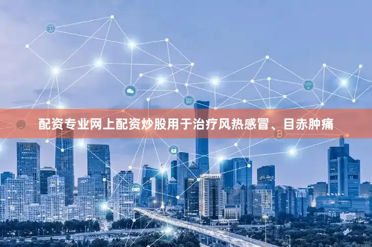 配资专业网上配资炒股用于治疗风热感冒、目赤肿痛