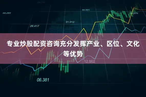专业炒股配资咨询充分发挥产业、区位、文化等优势