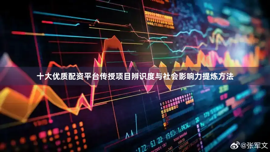 十大优质配资平台传授项目辨识度与社会影响力提炼方法